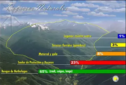 Gráfico de composición del suelo del fundo por tipo de cobertura